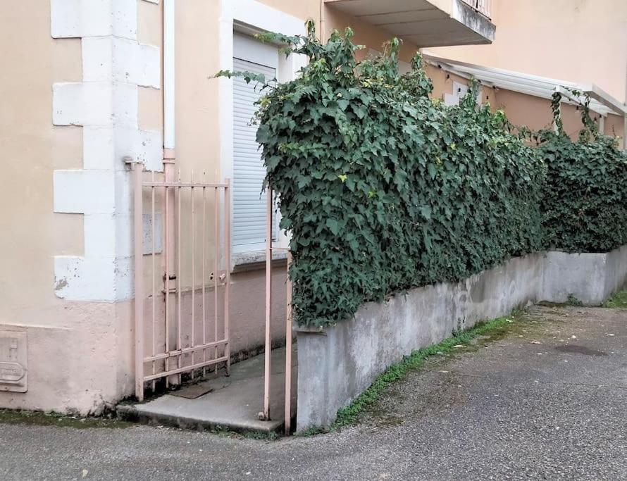 Le Cocon Zen Apartment Voiron Exterior foto